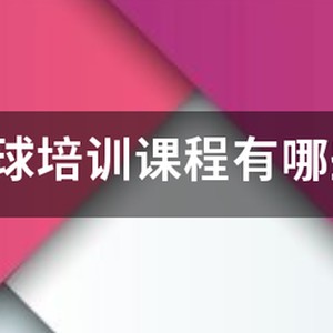 《中国青少年篮球训练教学大纲》